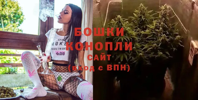 Марихуана план  shop официальный сайт  Губаха  omg зеркало 